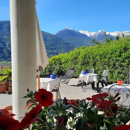 B&B Il Grappolo Bianzone Екстериор снимка