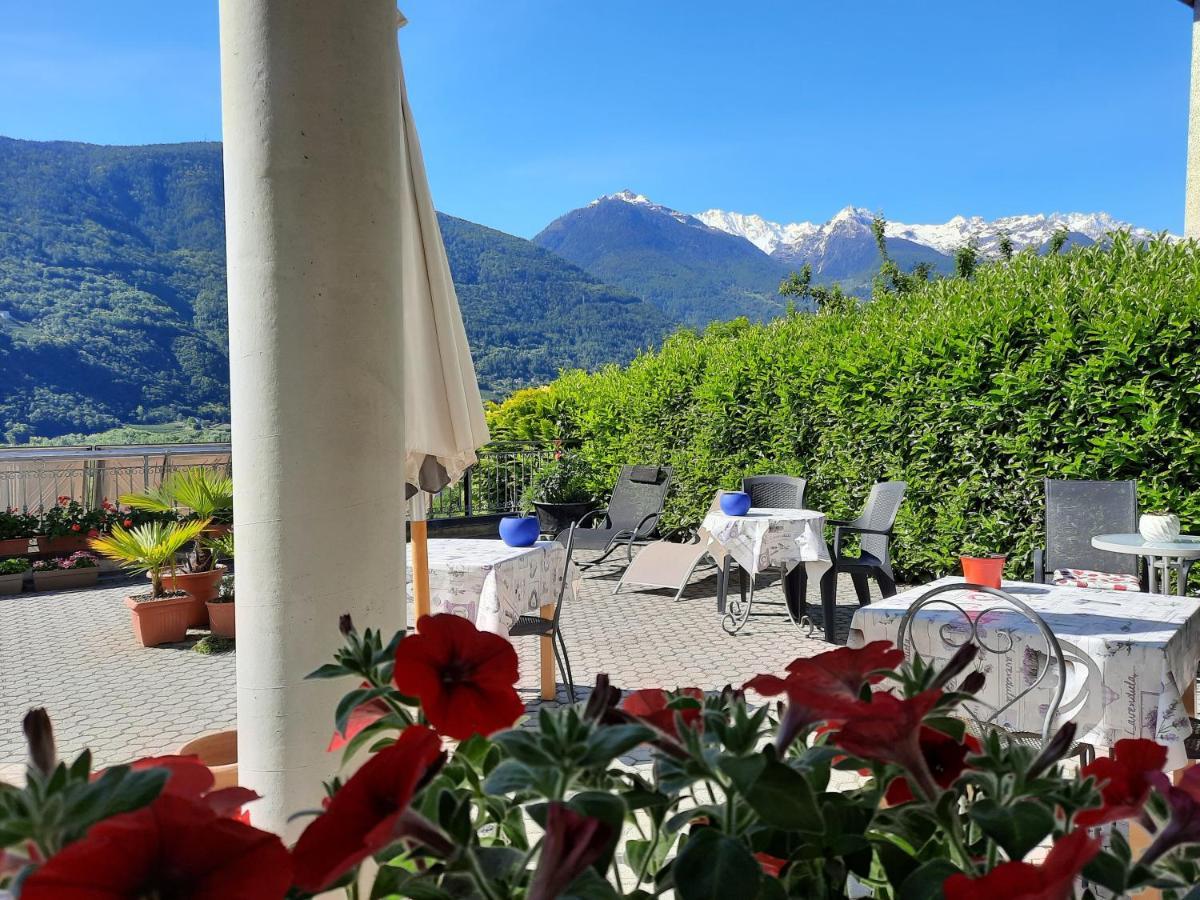 B&B Il Grappolo Bianzone Екстериор снимка