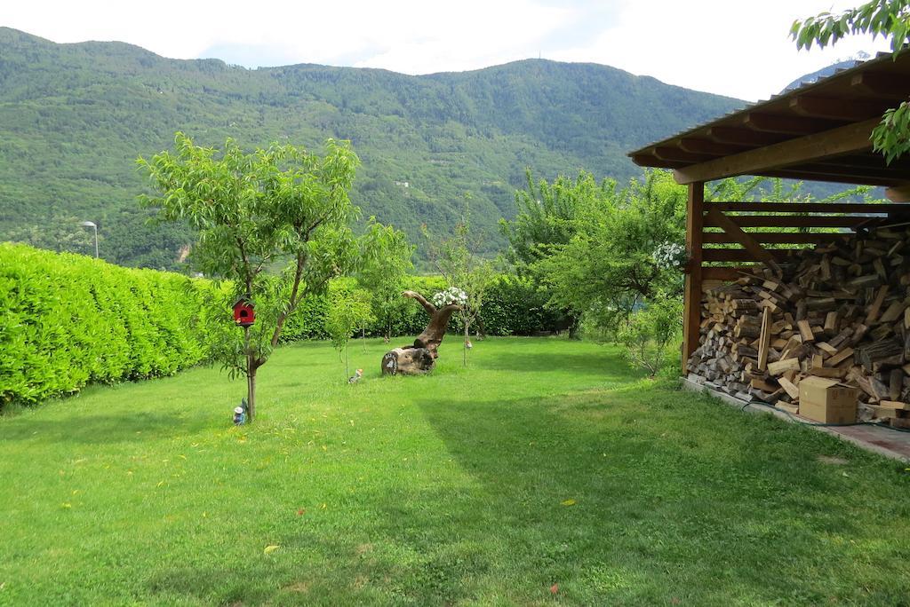 B&B Il Grappolo Bianzone Екстериор снимка